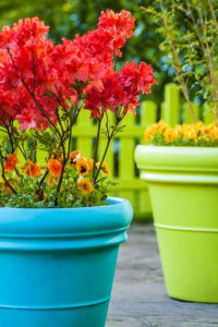 Colorful garden view with a blue and a green flower pot