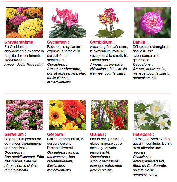 Signification des fleurs