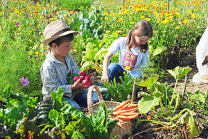 enfants-potager.jpg