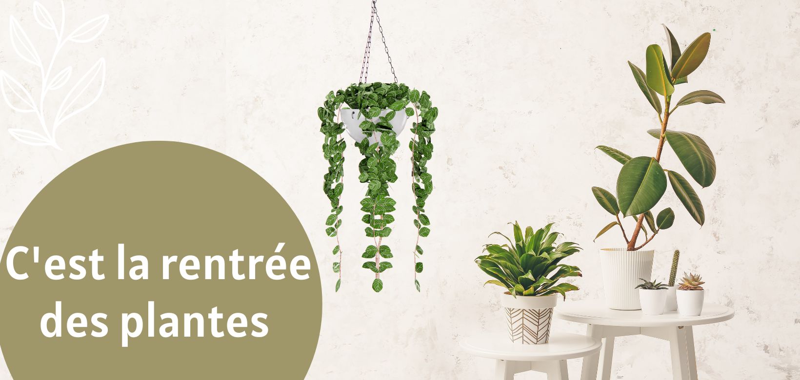 RENTREE-DES-PLANTES_03