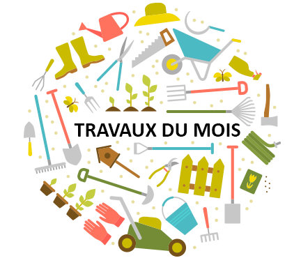 travaux-du-mois-2